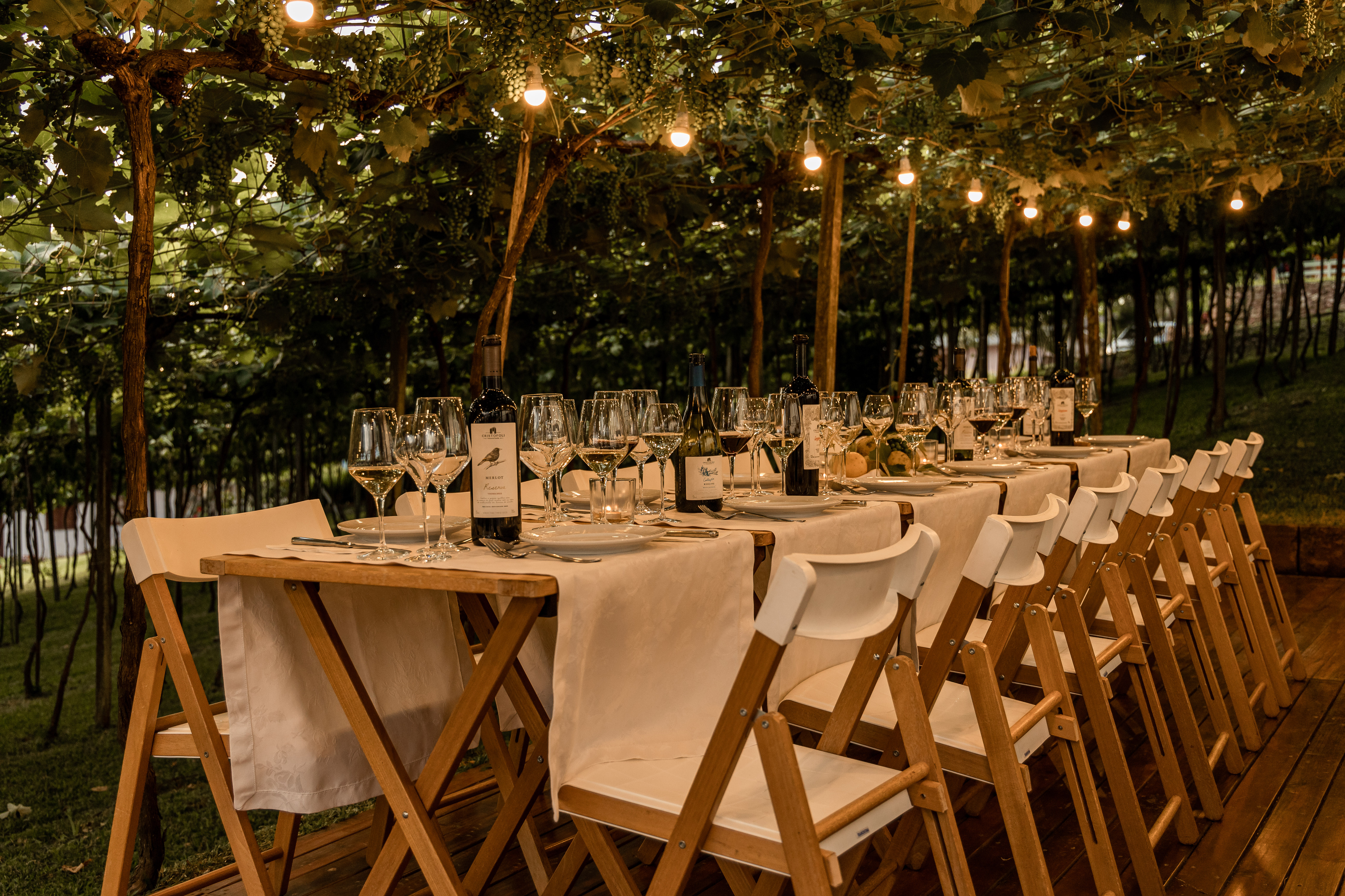 Do paladar ao coração: Almoço Harmonizado no Vinhedo Cristofoli