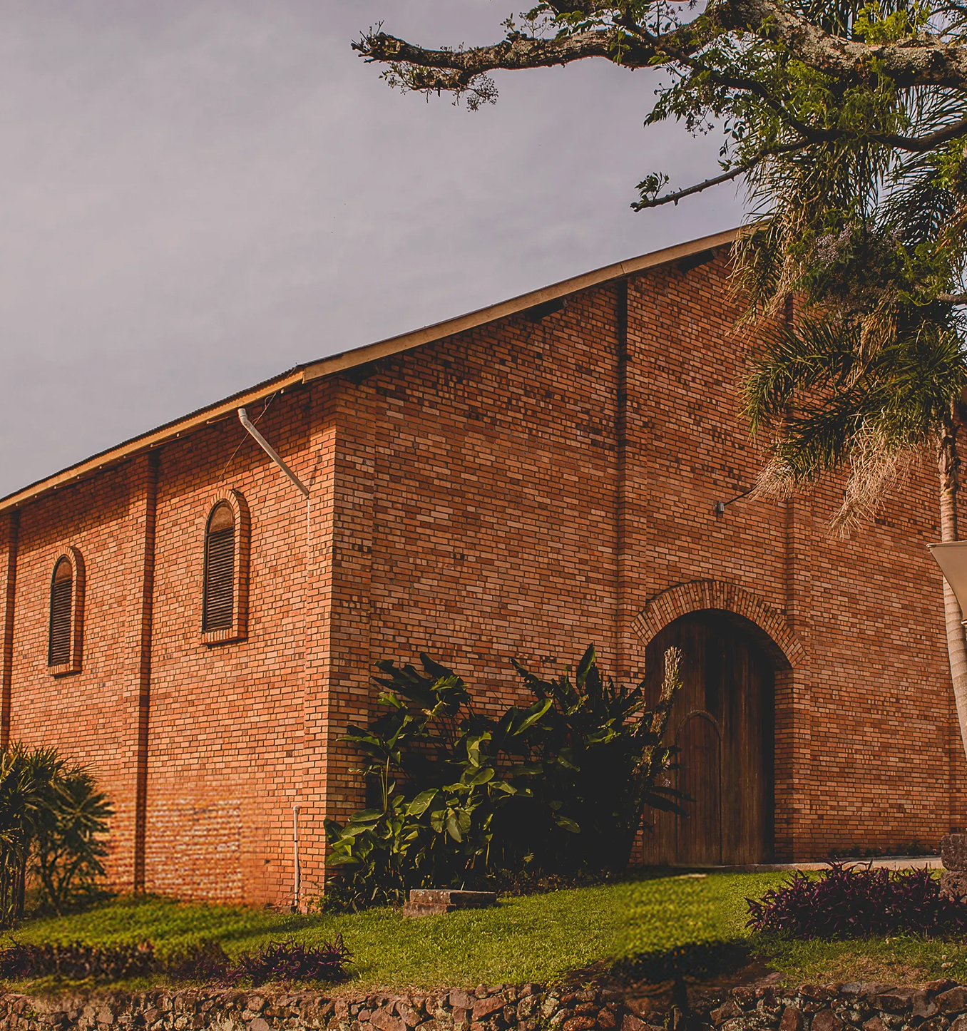 Vinhedos da Cristofoli em Faria Lemos, com as fileiras de videiras douradas no outono